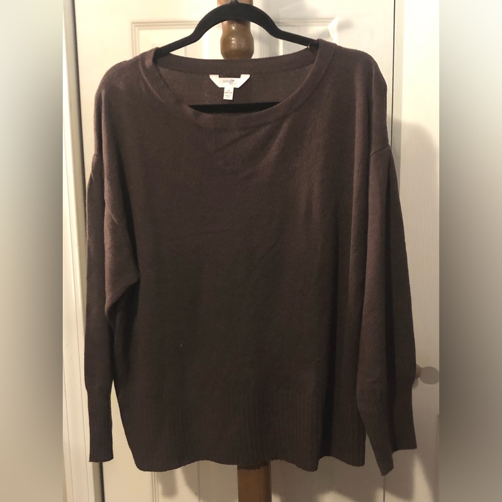 Terra & Sky Brown Sweater